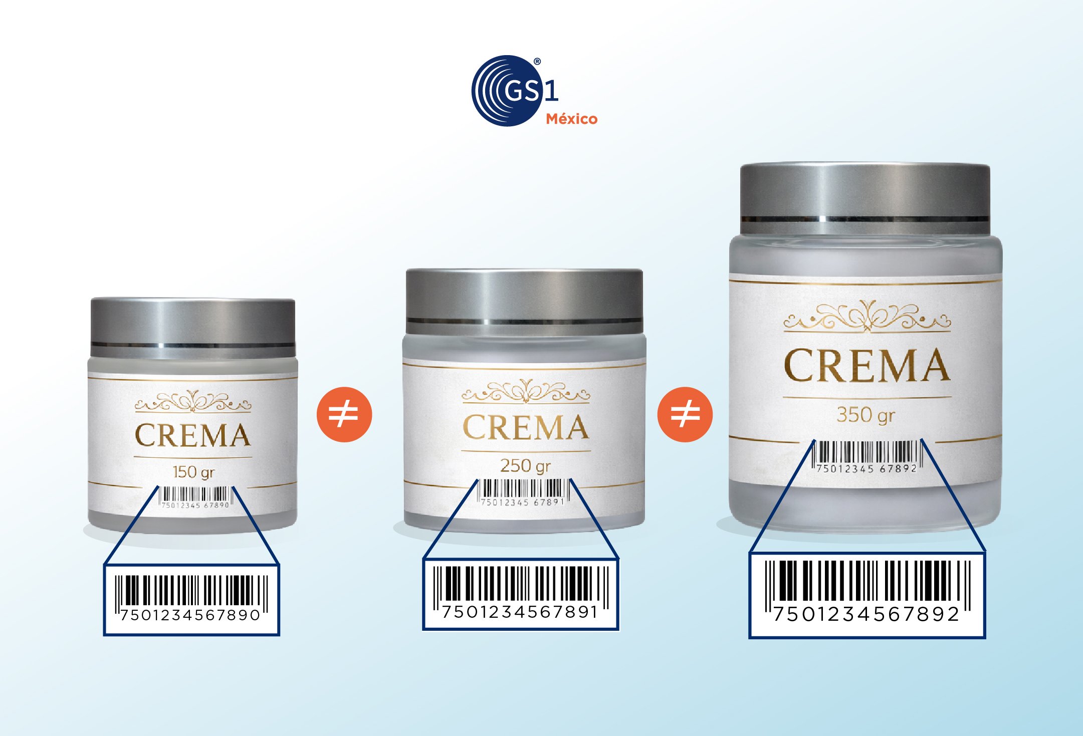 variantes-productos-catalogo-digital