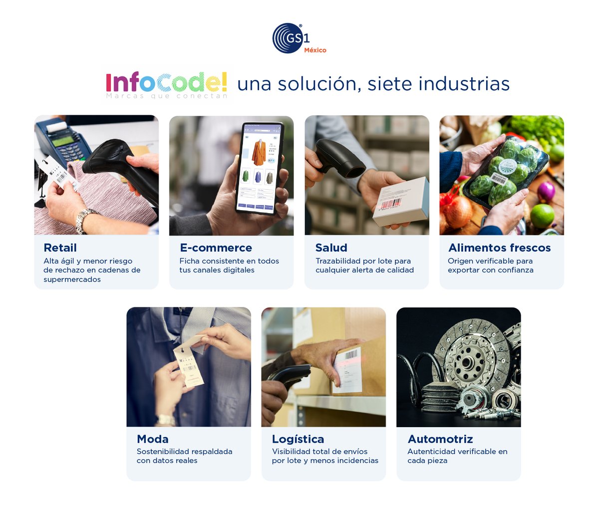 infocode-sectores